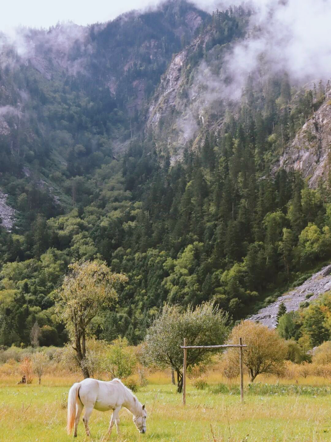 成都秋天一天游最佳地方,成都周边一日游自驾秋天