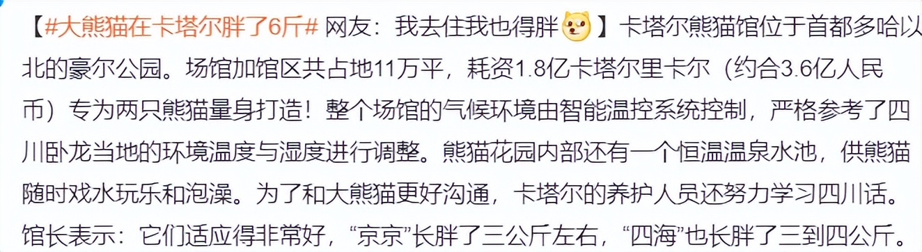卡塔尔世界杯花销真人感受,卡塔尔世界杯总花销