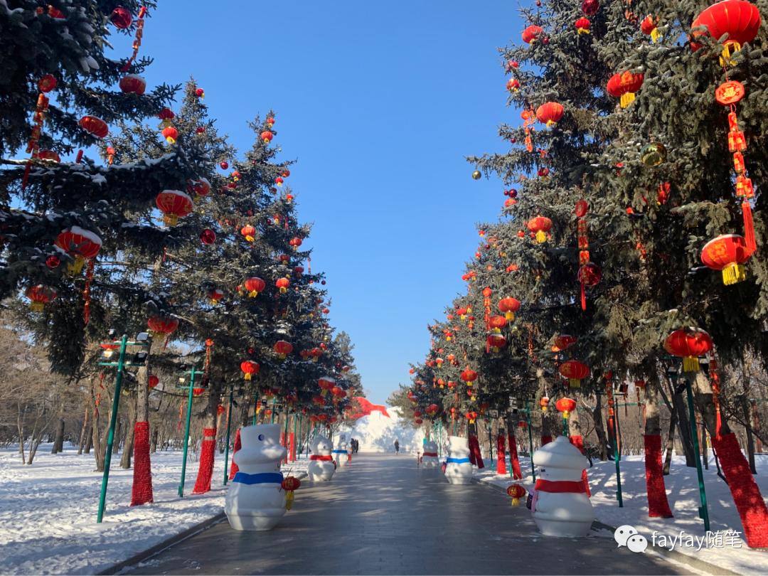 孤独的哈尔滨,哈尔滨三天两晚旅游攻略玩雪