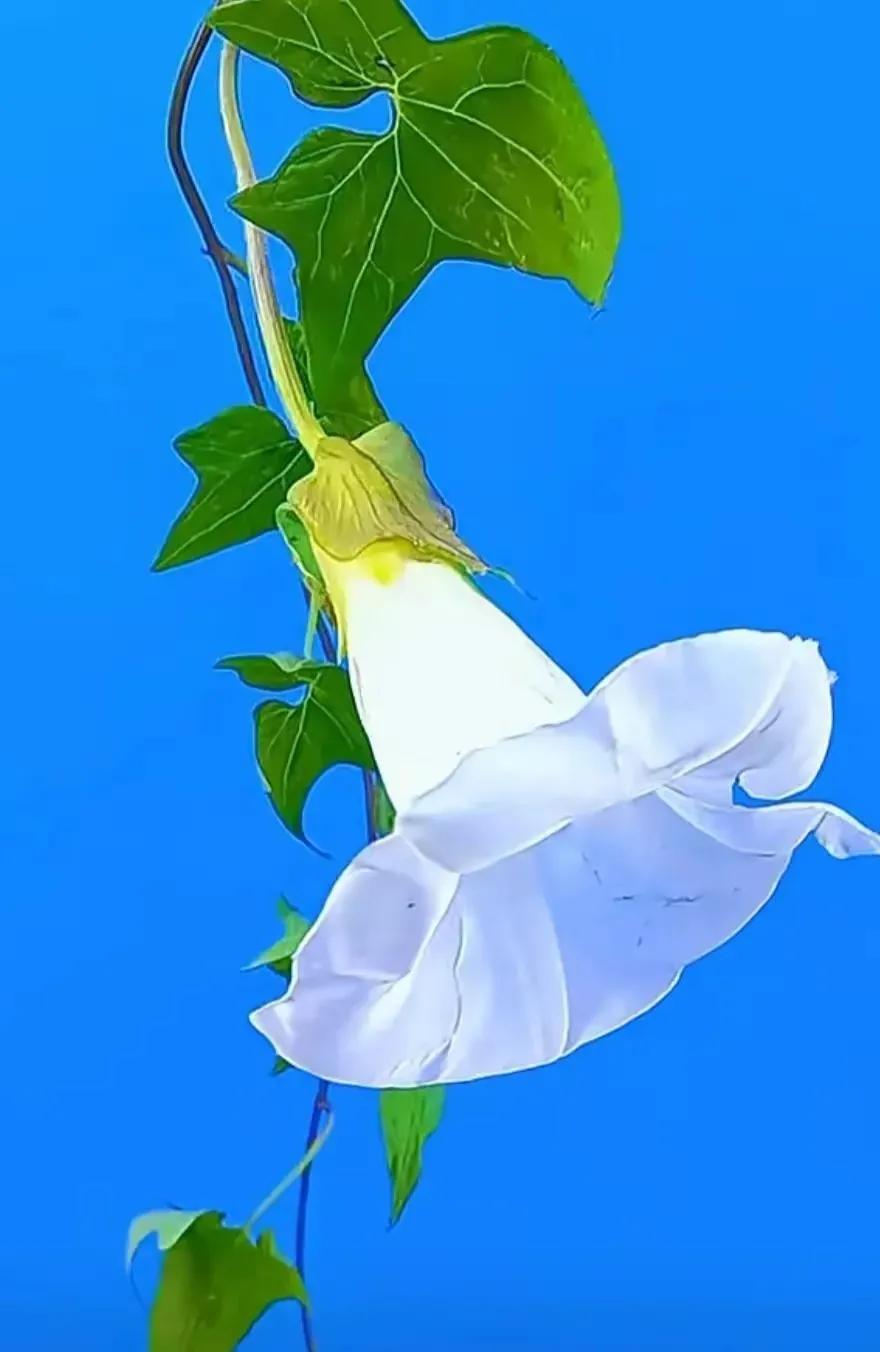 人生哲理意境文字,真字人生哲理