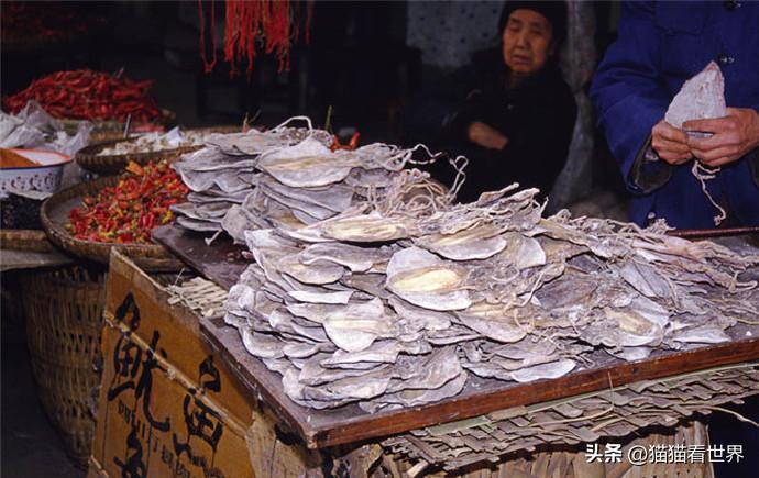 你不知道的近代史,日军暴行老照片真实