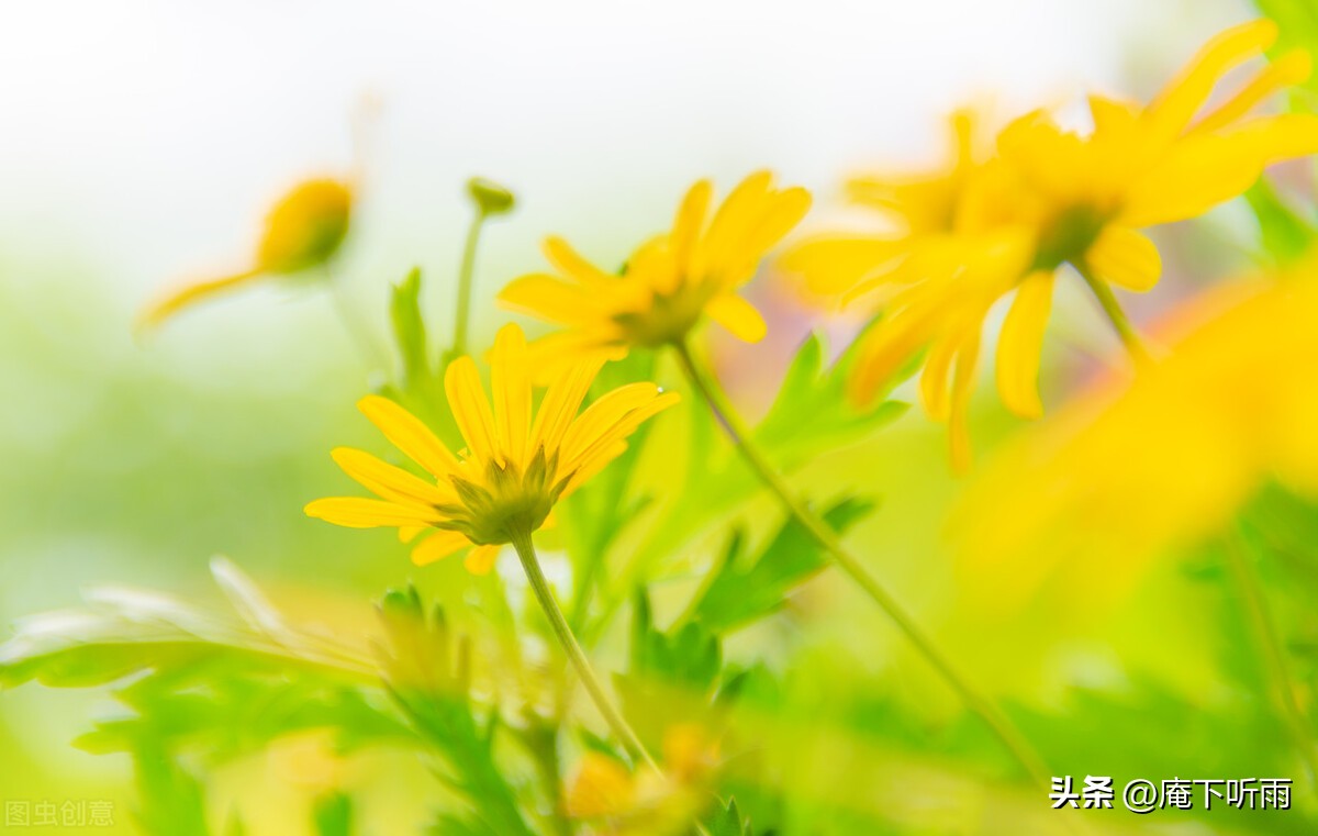 陶渊明著名十首短诗词,陶渊明躬耕生活的诗歌和文章