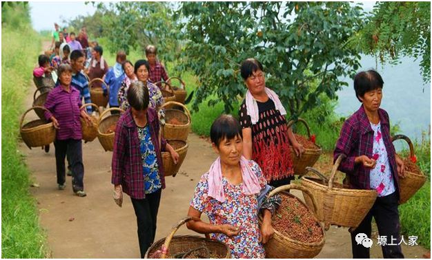 花椒催红 (花椒范志红)