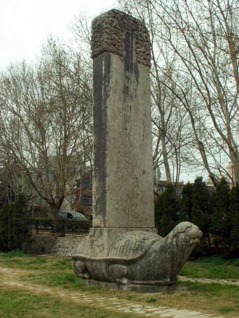 神奇的乌龟绘本故事,神奇的乌龟小视频