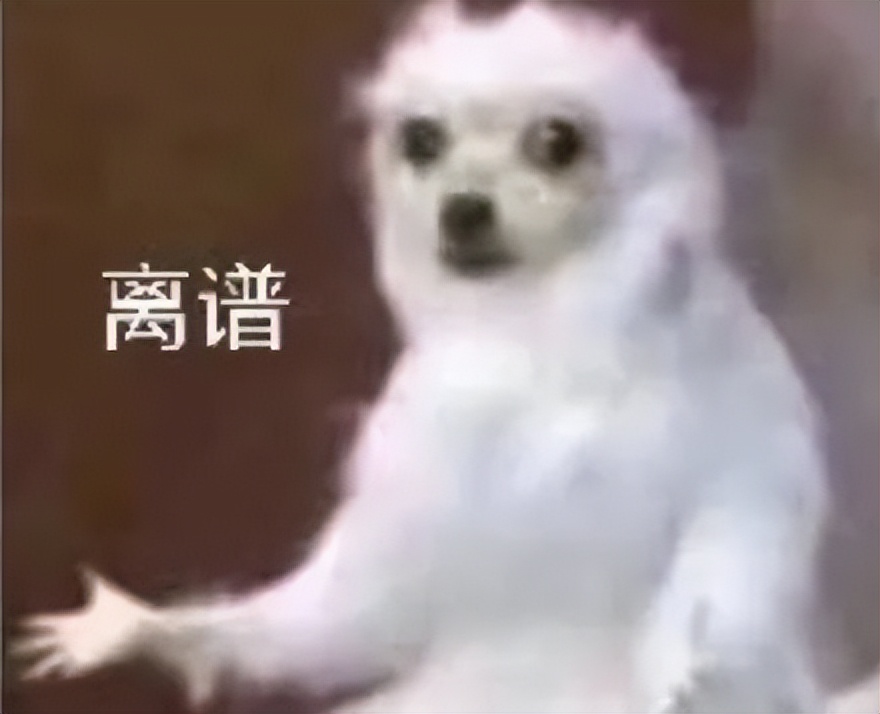 跟赛鸽比赛相比，世界杯*球赌**只能算小场面？