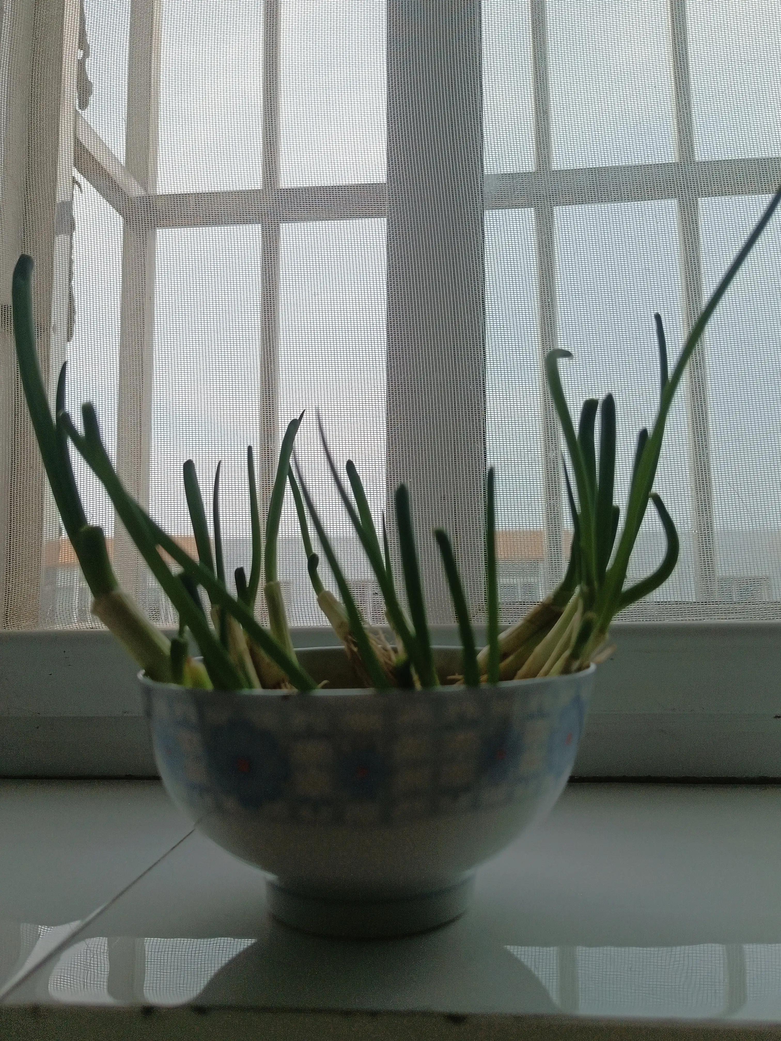 极简生活怎么清理厨房,旧碗的正确处理方法