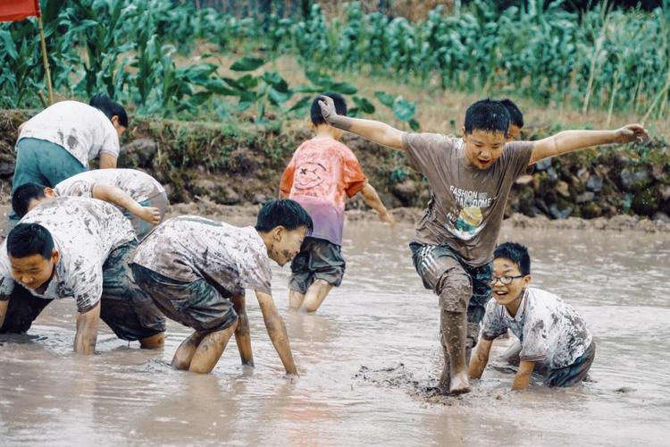 乡土散文童年的野菜,乡土散文童年的记忆种花生
