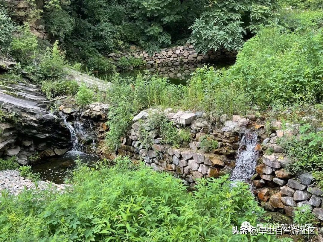 蜜蜂谷养殖,普定蜜蜂谷