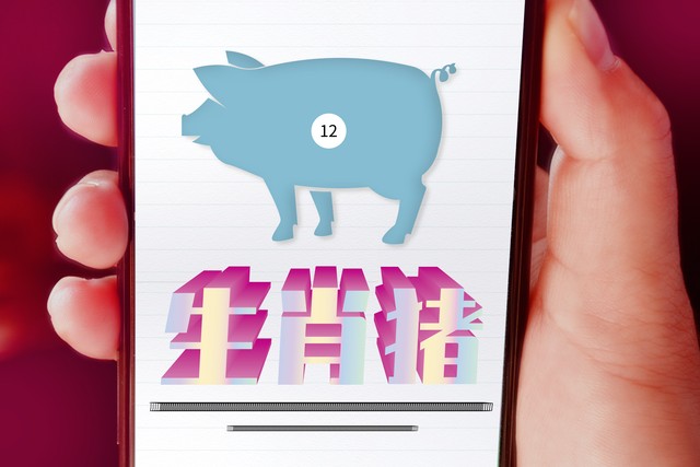 2023年生肖属猪农历一月运程,属猪2023年财运最好的是几月