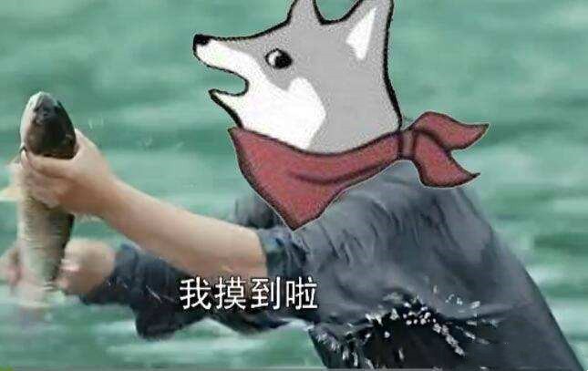 英雄联盟小蜜蜂皮肤提莫炫彩,英雄联盟小蜜蜂更新