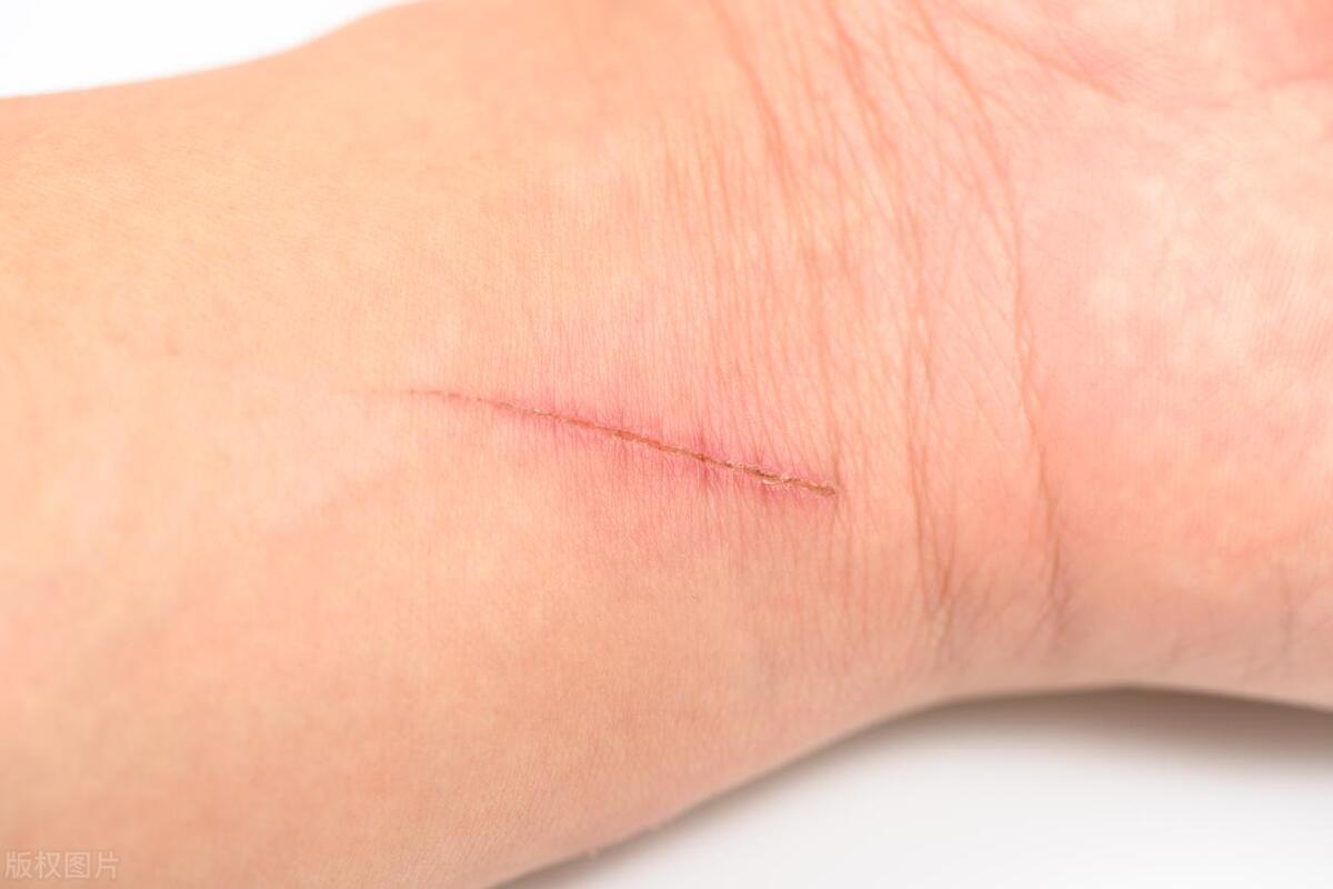 猪来穷狗来富猫来盖白布啥意思,猫来盖白布是什么意思