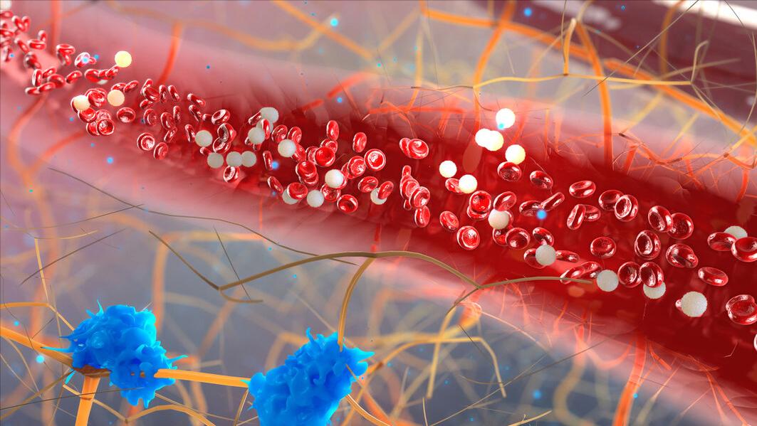 一男子腹部痒，医生用镊子夹出16只阴虱！原来阴虱有3个传播途