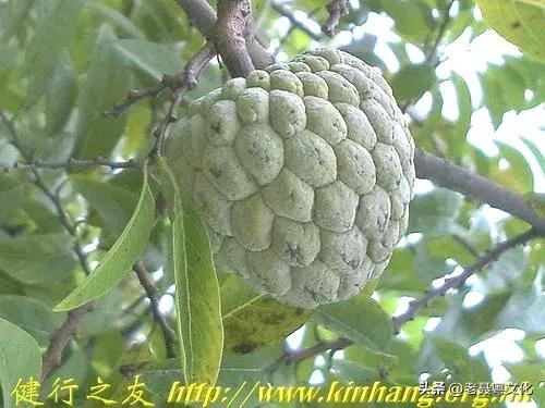 骞垮簻淇氳婧簮,骞垮簻淇氳