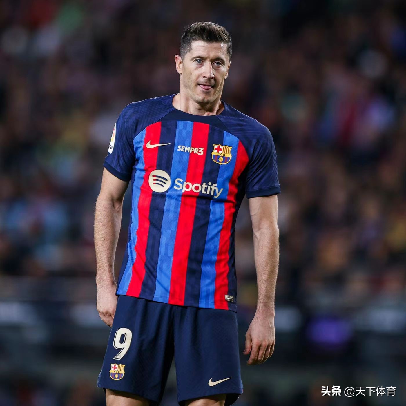 哈维巴塞罗那塔尔杯,巴萨哈维和西班牙哈维