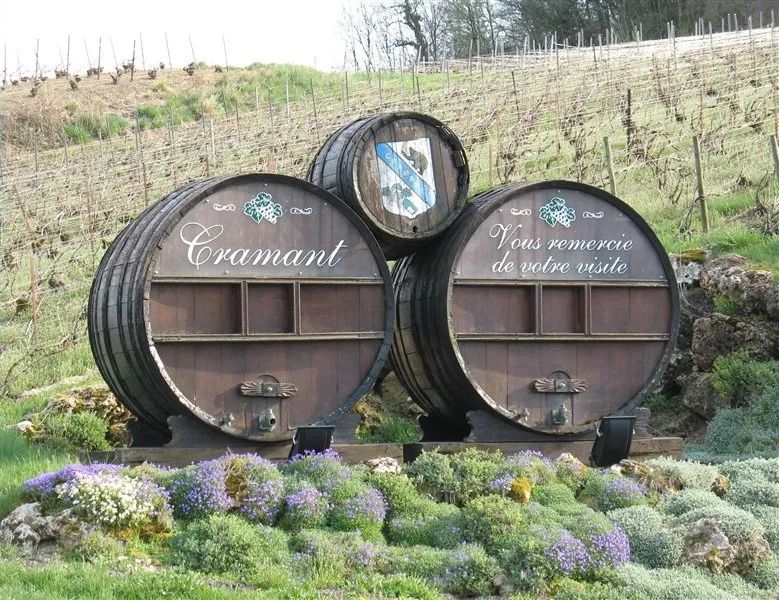 香槟葡萄园旅行,旅游香槟