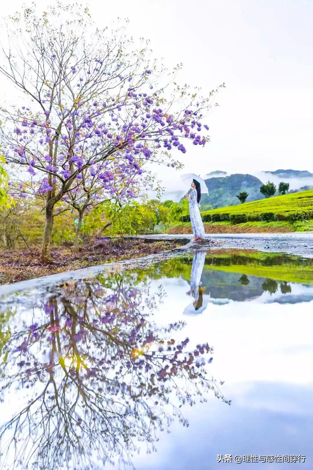 隔海相望，我在这头，静守似水流年，你在那头，淡看烟火人间