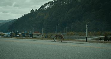 朊病毒防止人类自相残杀,致死率高达100%的病毒