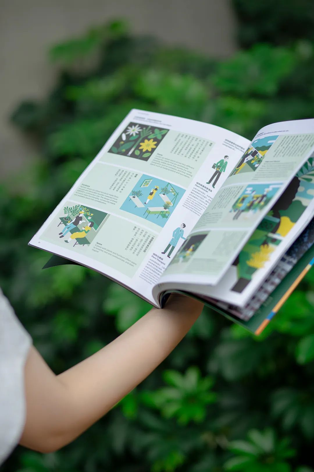 书籍设计构成元素及艺术特征,精美的书籍设计