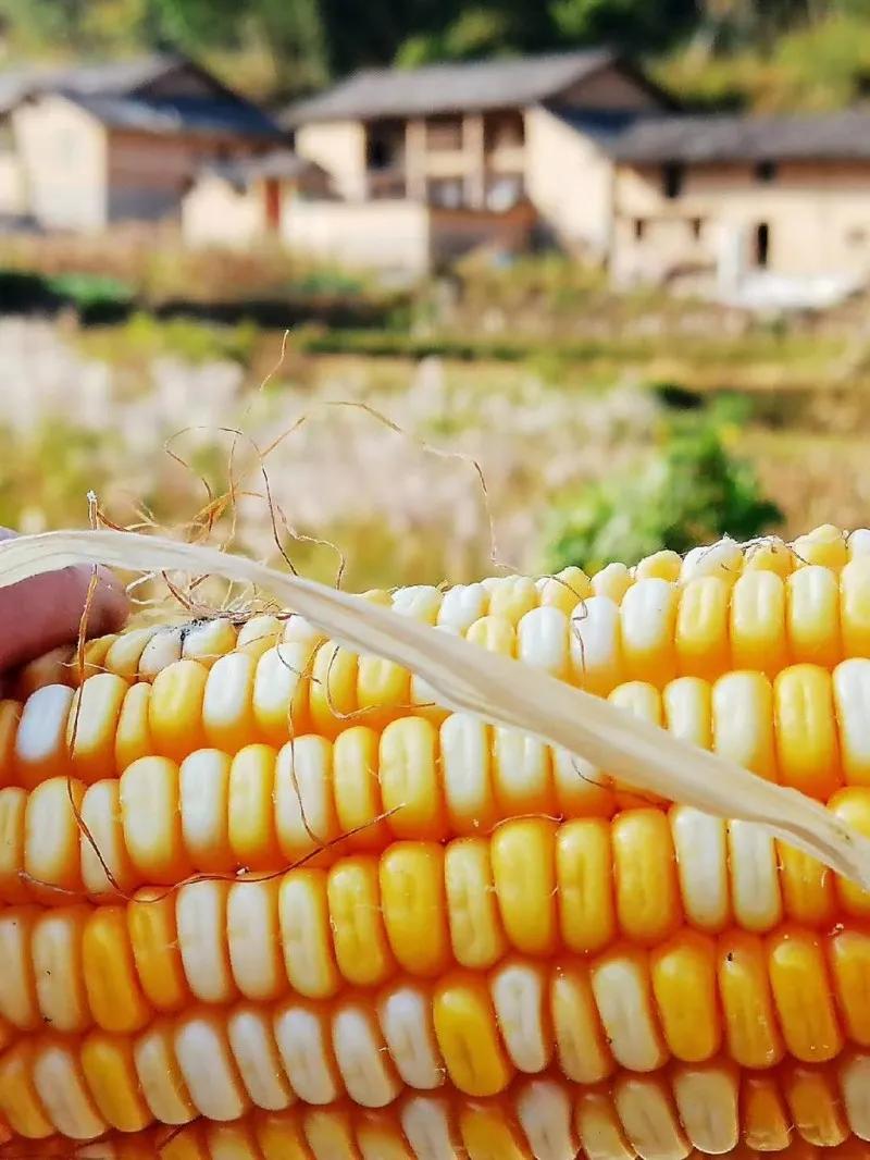 安庆市所有古镇古村,安庆十大古镇名单