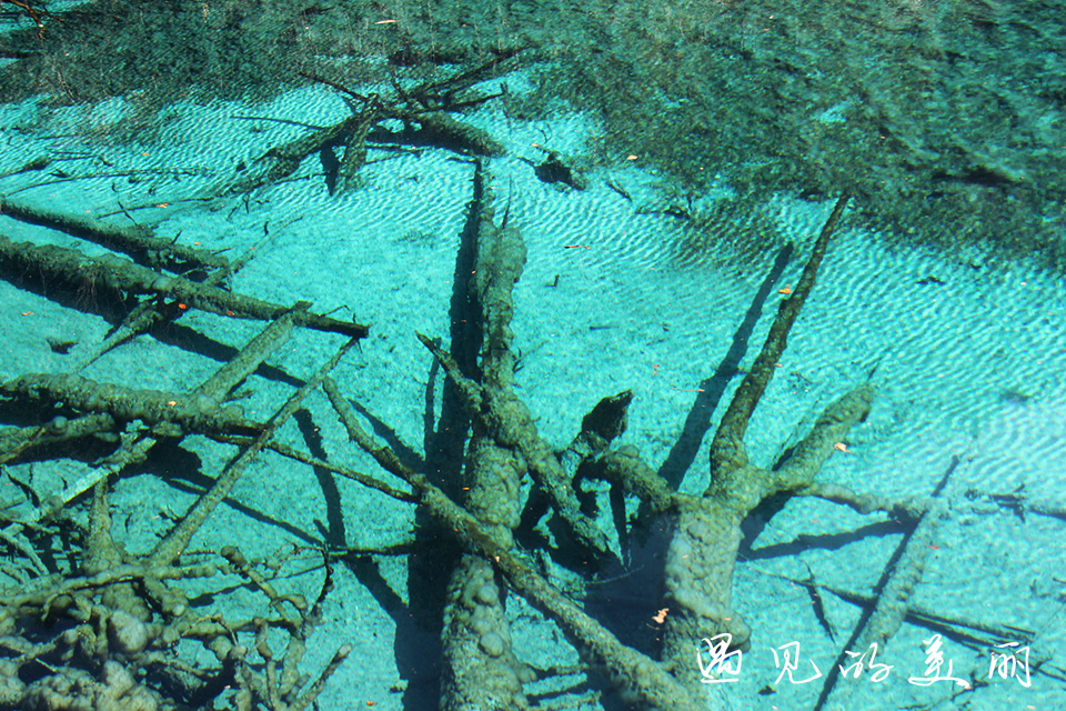 如果一生只去一个古城,一生去一次九寨沟