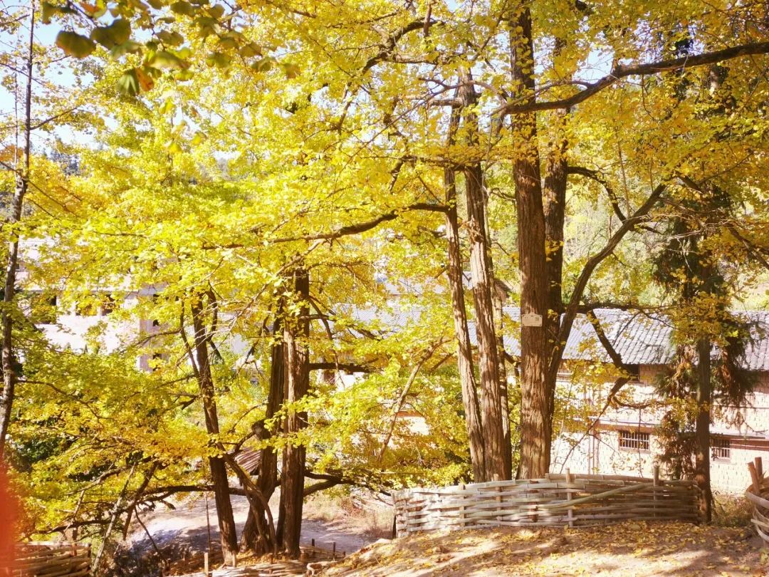 60岁之前必去的34省区最美天堂,最真实最美的旅游地方