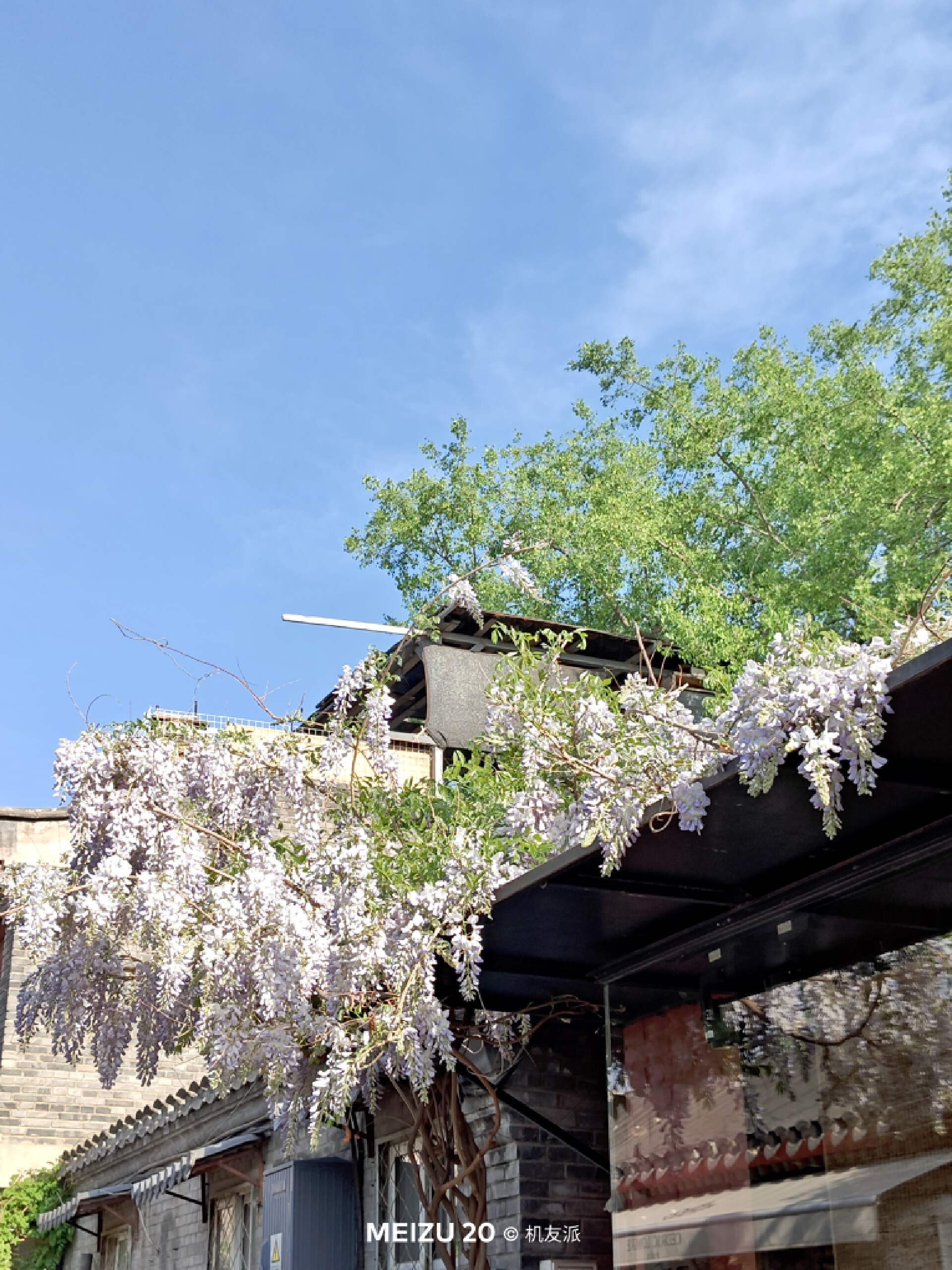 魅族20infinity无界版ppi,说说你们用魅族20手机的真实感受