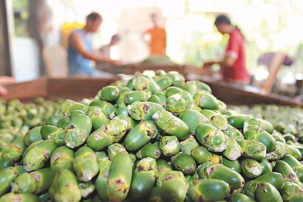 成瘾只是表象，36岁傅松患口腔癌离世，让我看到了槟榔产业的背后