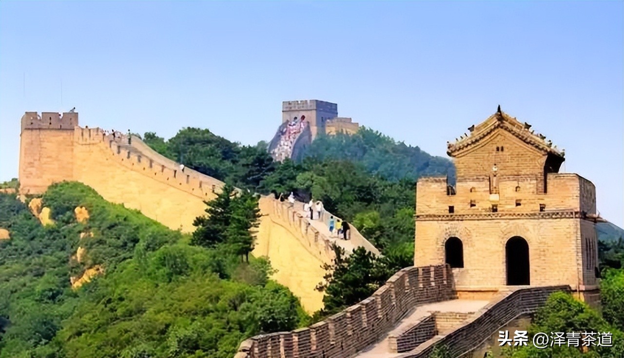 世界十大茶日,国际茶日英文版