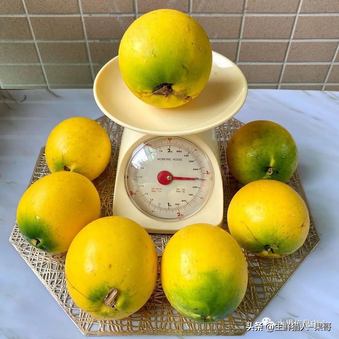 #奇异水果知多少#椰柿、黄晶果、冰淇淋果、巧克力布丁果等