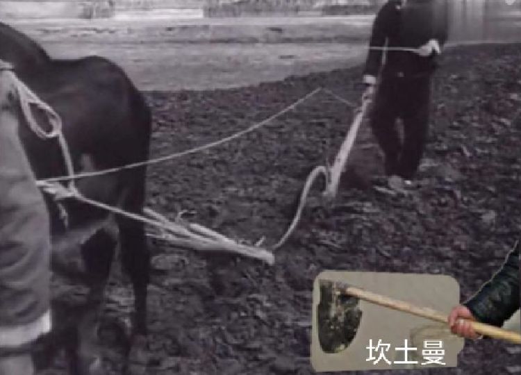 在新疆伊犁吃美食,在伊犁吃美食