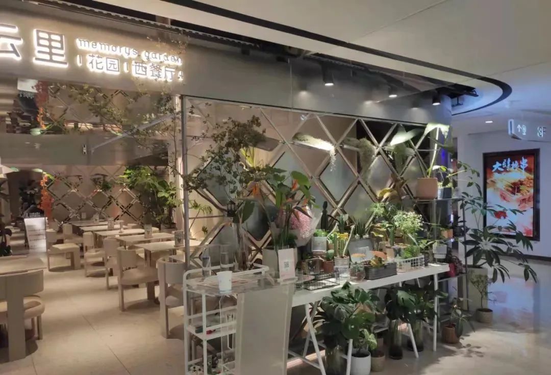 餐饮差异化运营模式,高端餐厅经营思路和方案