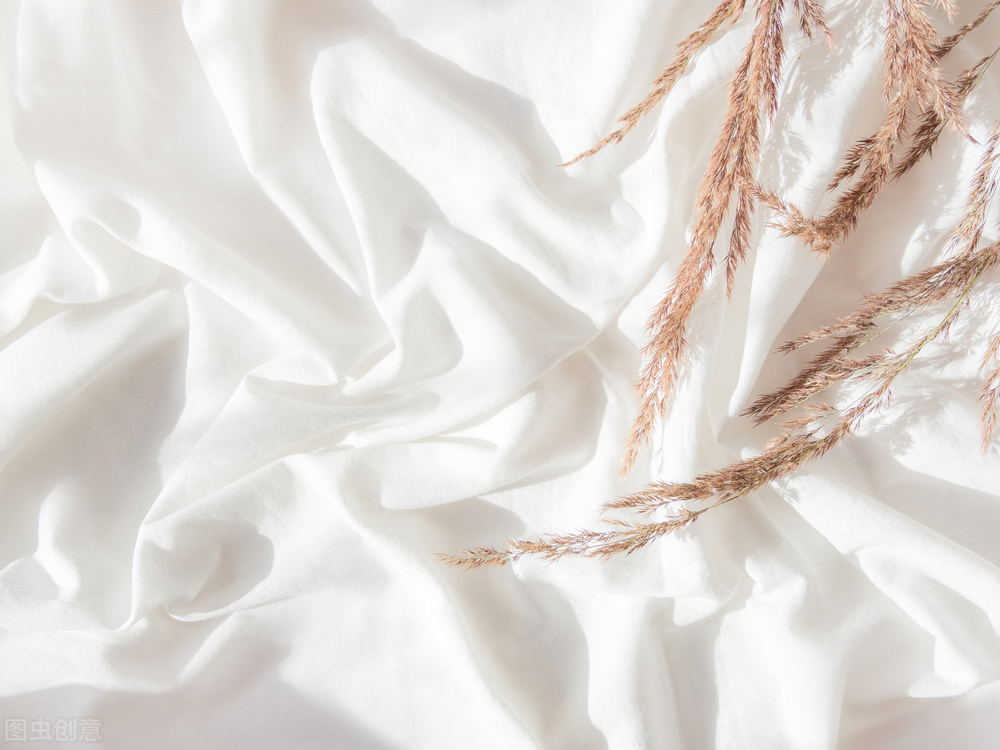 鹅绒鸭绒哪种更好,灰鸭绒和白鹅绒哪个比较好