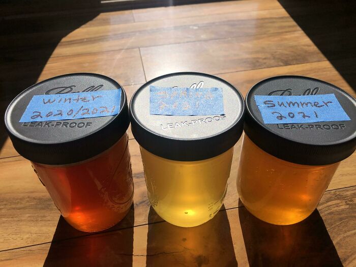 100张有趣的视觉图片,100张有趣的对比图片