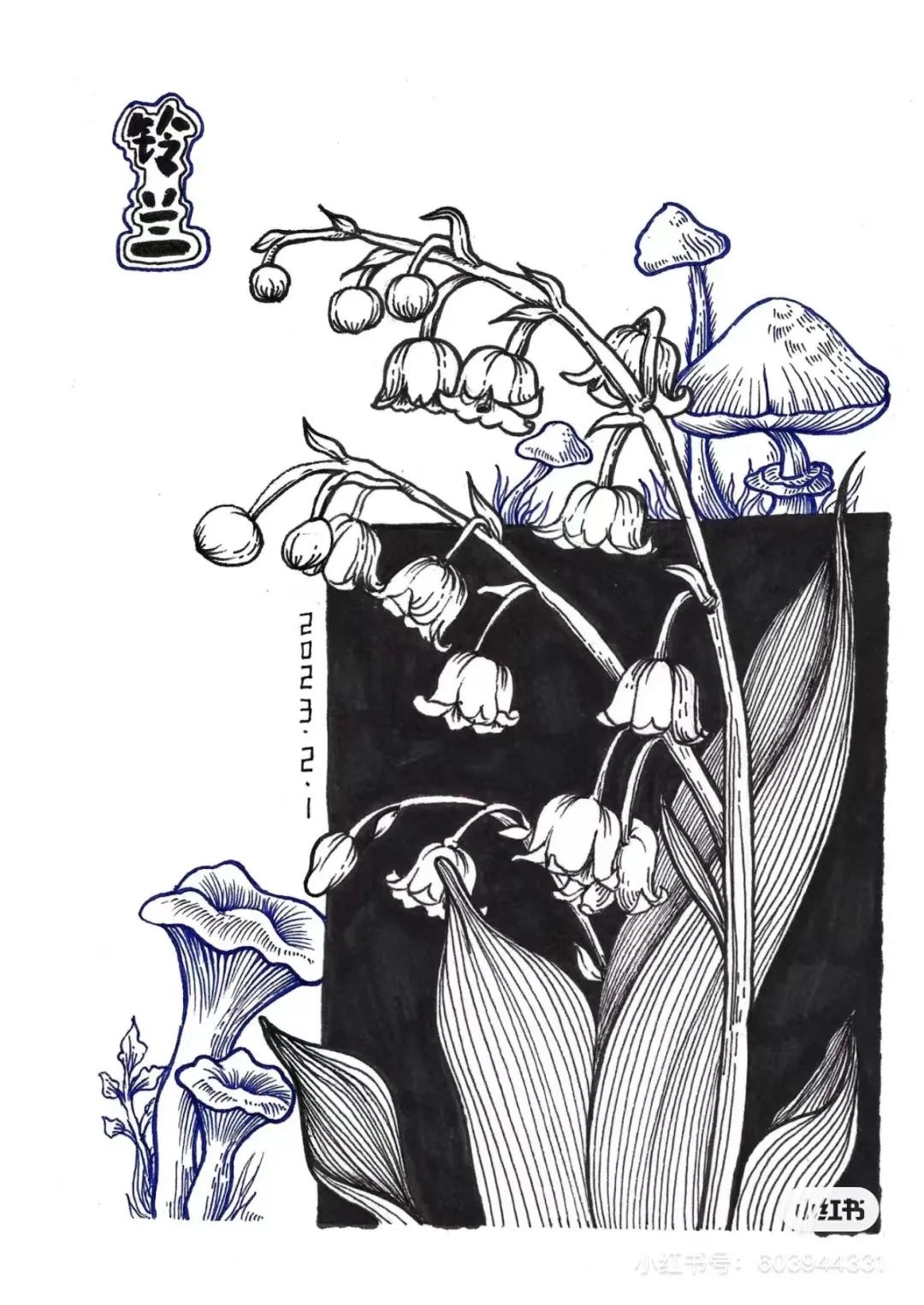 针管笔画线条练习,针管笔黑白装饰画线描