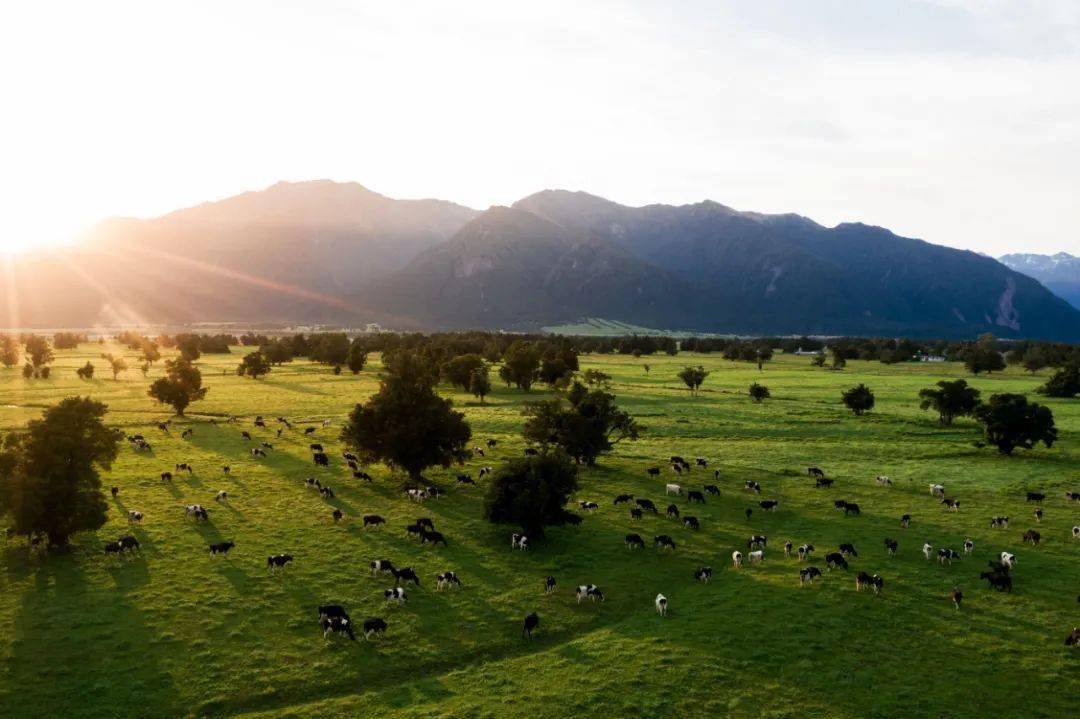 新西兰年休假是怎样的,幸福指数最高的国家但白天很短