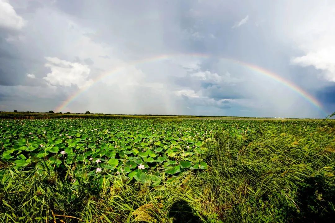 湿地可以开发什么旅游项目,黑龙江旅游必去十大湿地排名