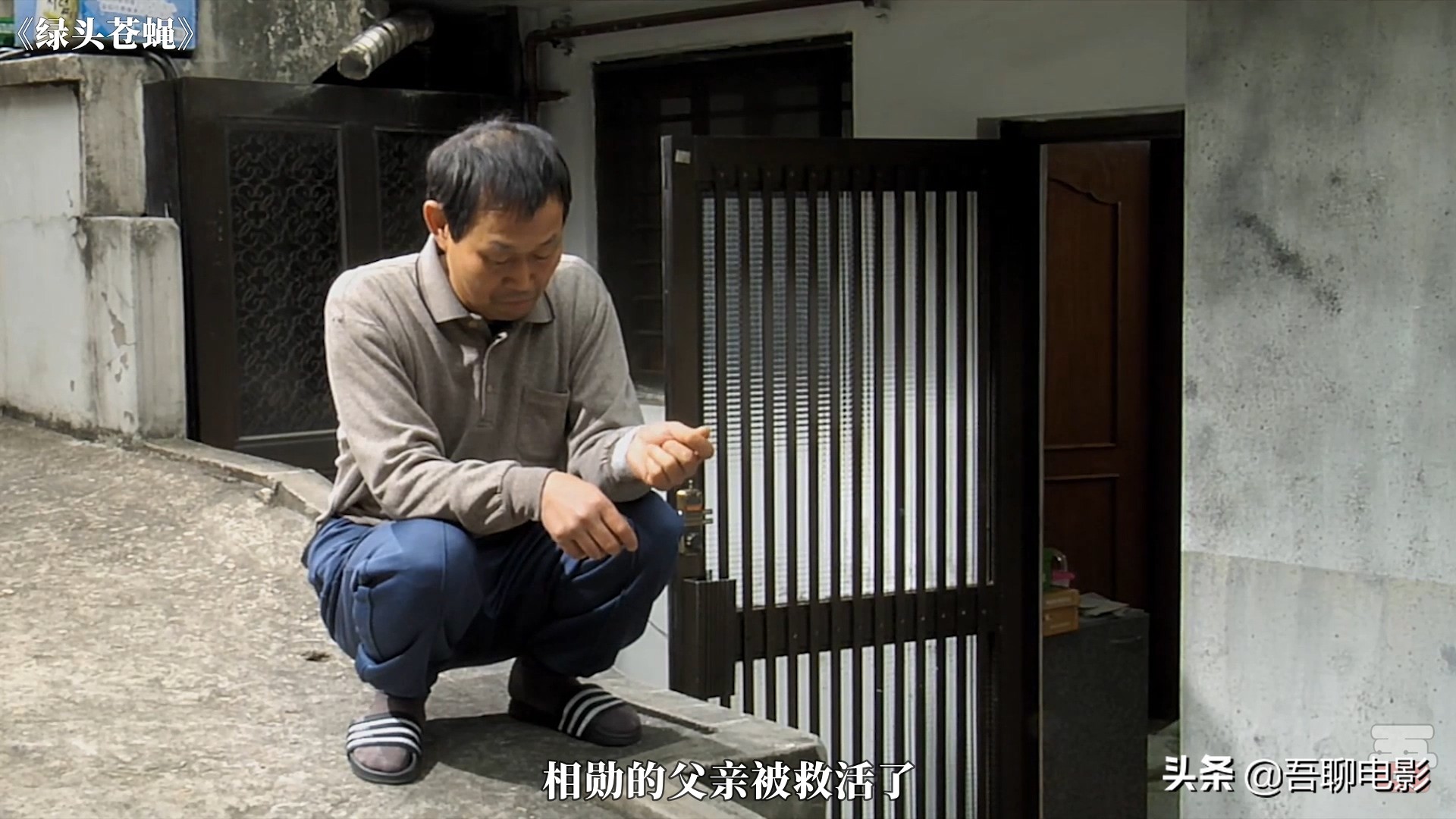 高中女生教混混重新做人，韩国剧情片《绿头苍蝇》，看完手痒痒