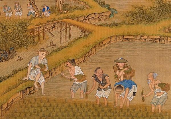 从服饰借代词看古代人物的社会身份，黄袍、红袖、青衣，什么意思