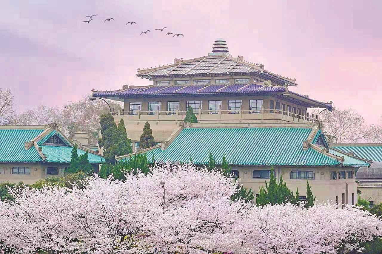 武大各学院排名,2023年中国高校排名前300名