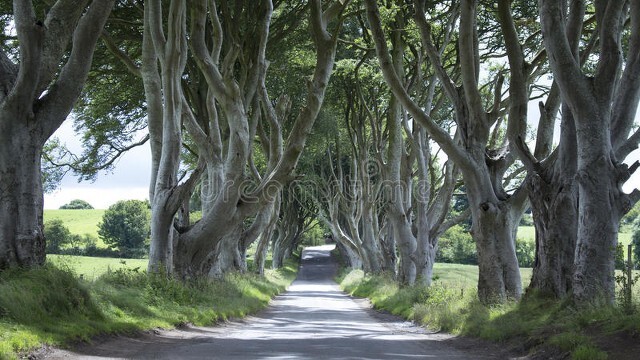 冰与火之歌03解读,冰与火之歌第三卷小说