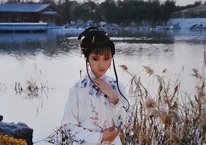 遗失红楼梦,红楼梦的现实反思