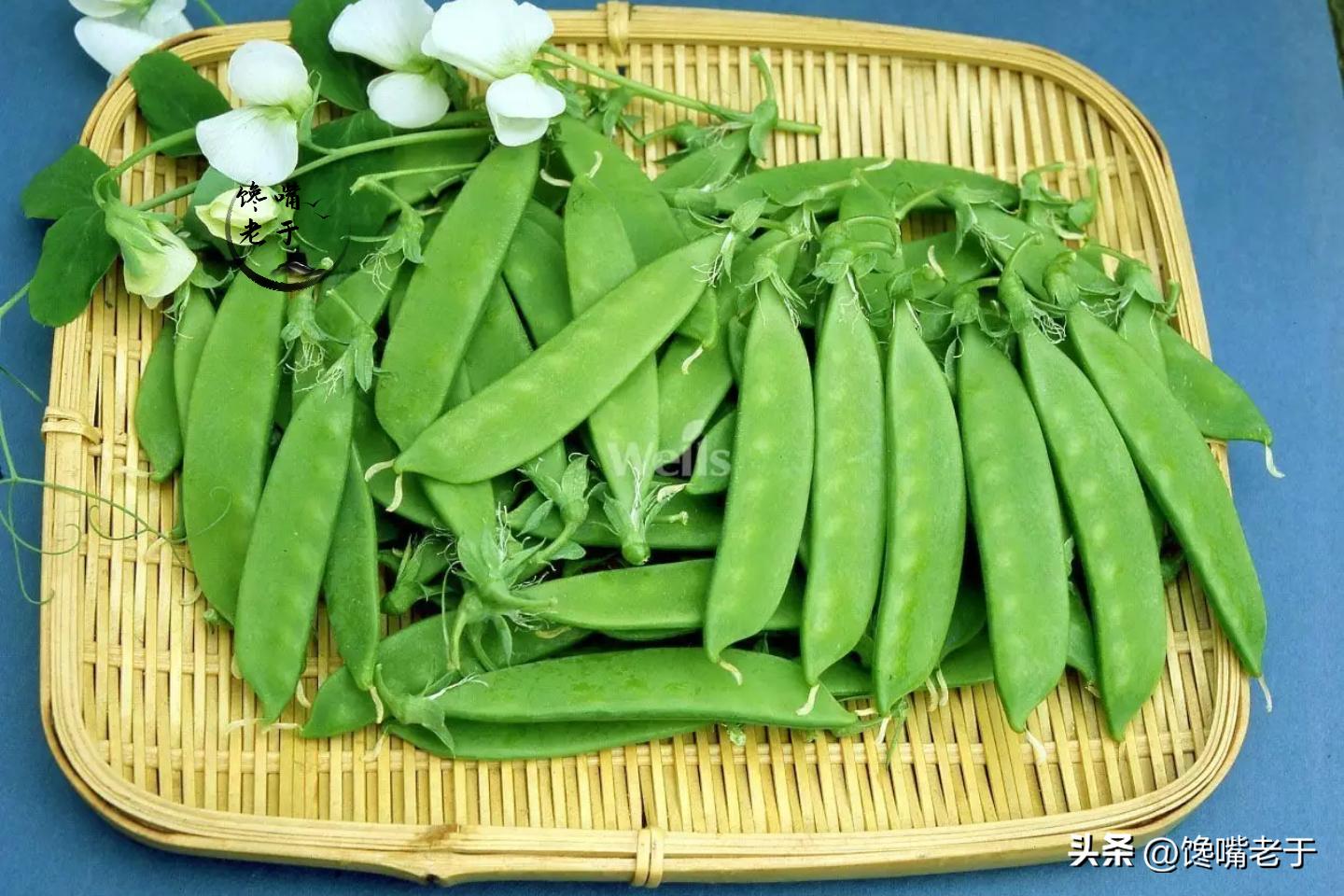 荷兰豆跟豌豆有什么区别,荷兰豆为什么叫荷兰豆呢