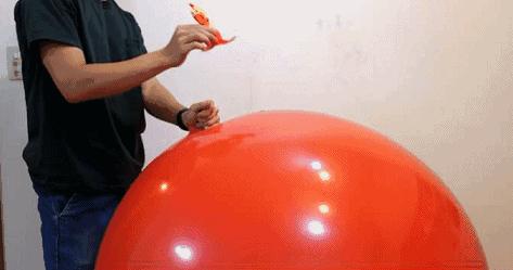 在搞鸡这方面，日本人可能是最专业的