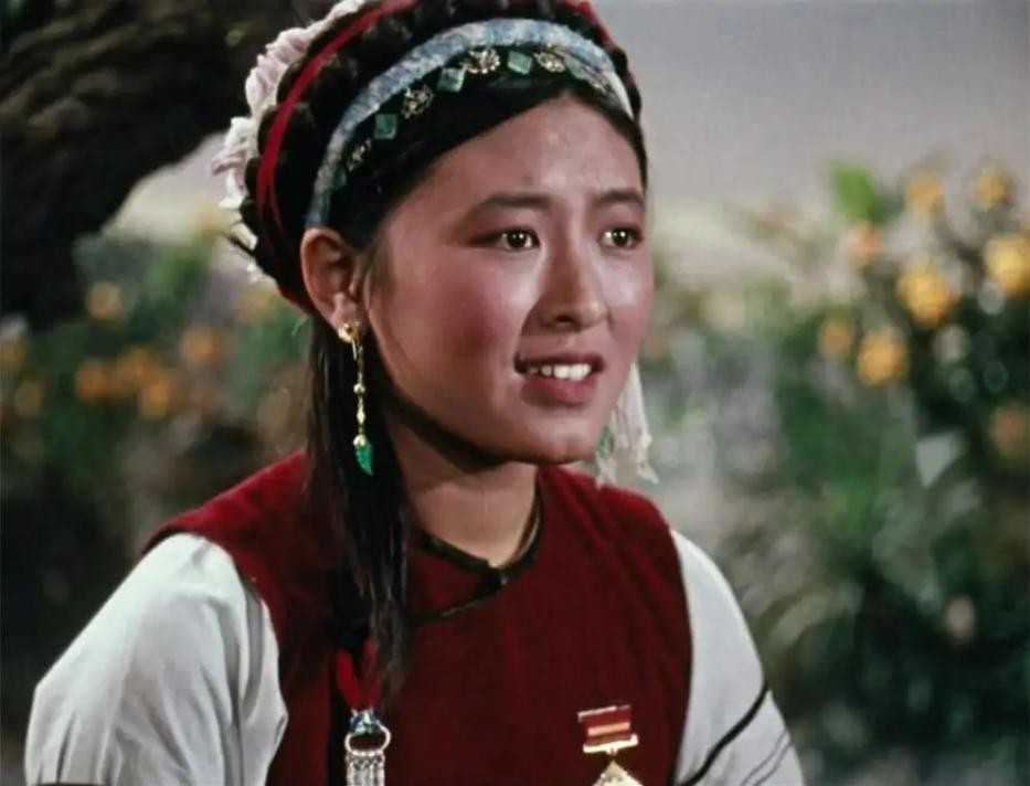 阿诗玛杨丽坤的两个儿子近况,杨丽坤阿诗玛双胞胎近况