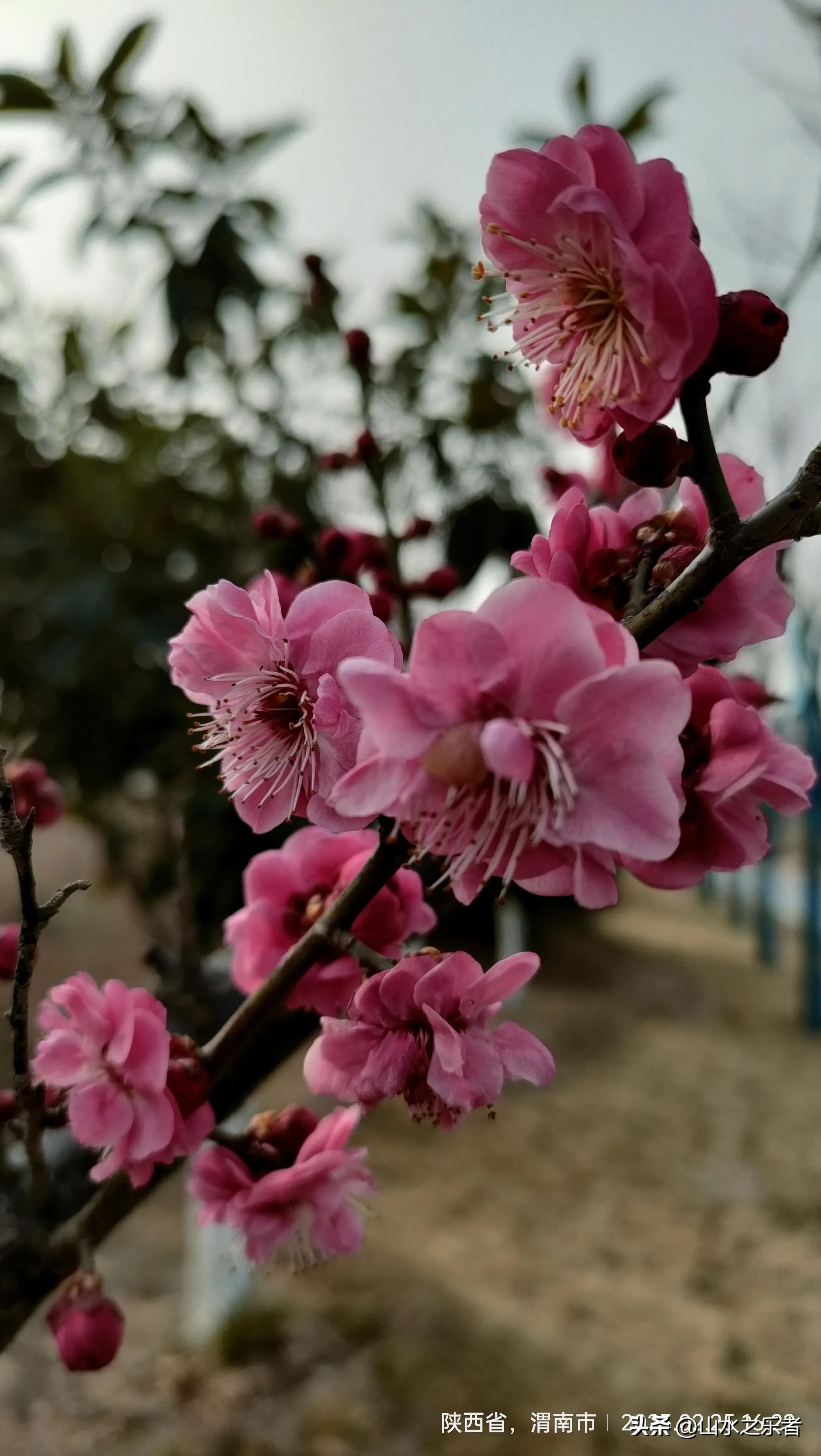 闄曡タ鏄撲織绀鹃珮鍩规敮,鏄撲織绀鹃珮鍩规敮