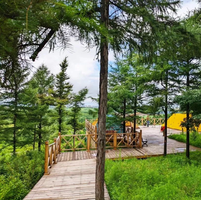 夏幽·嗨玩|全部免费！莲花山徒步宝藏地推荐！