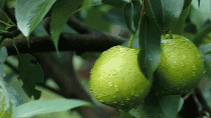 邂逅香城，在新都必做的50件小事~