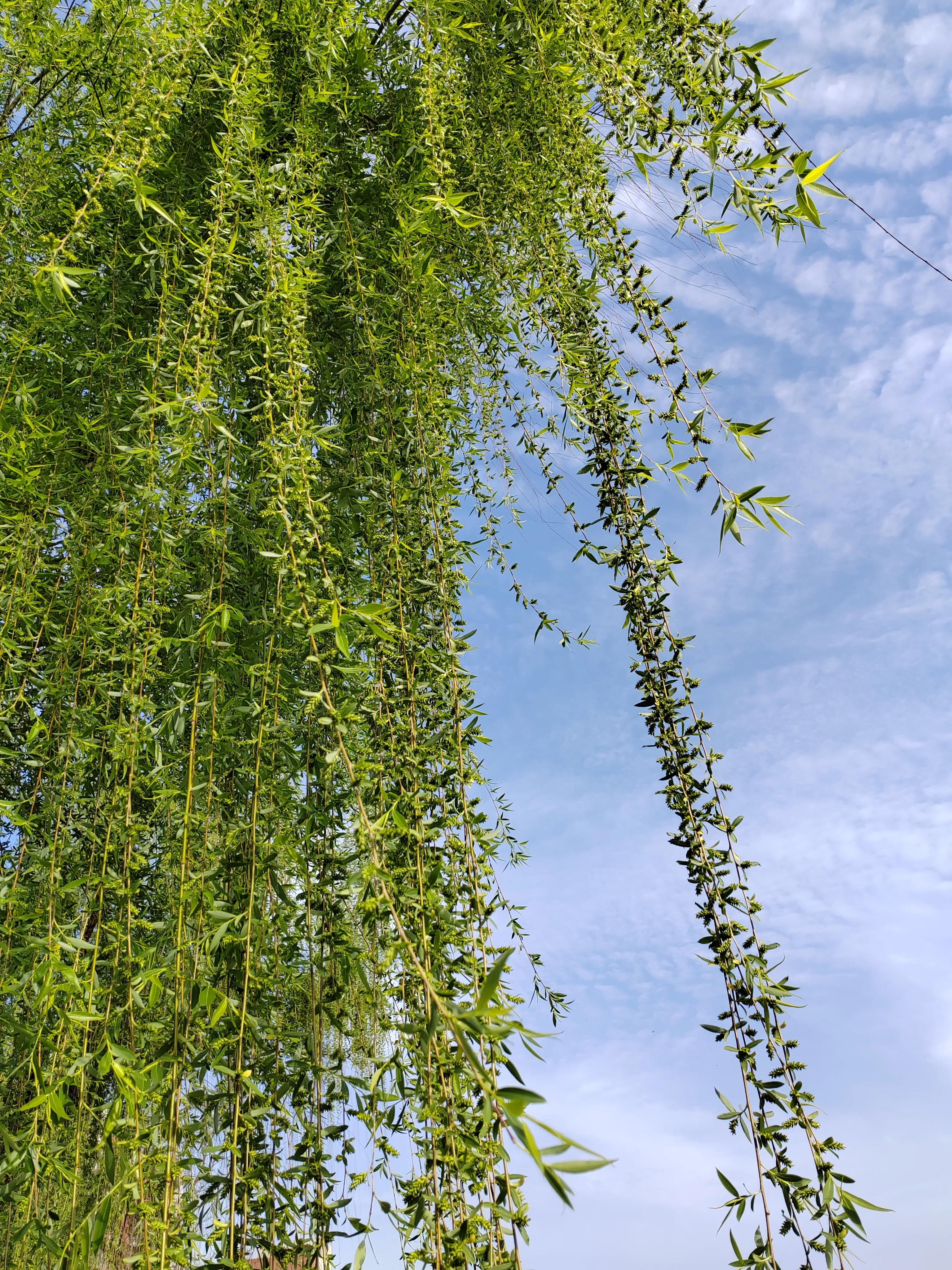 中国历史上第一部军事理论,举世公认的军事理论奠基人