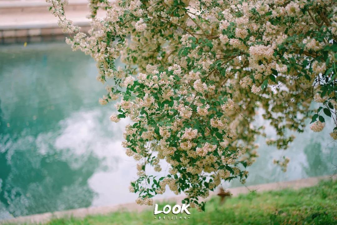 北京居庸关花海栈道,北京四季花海景区