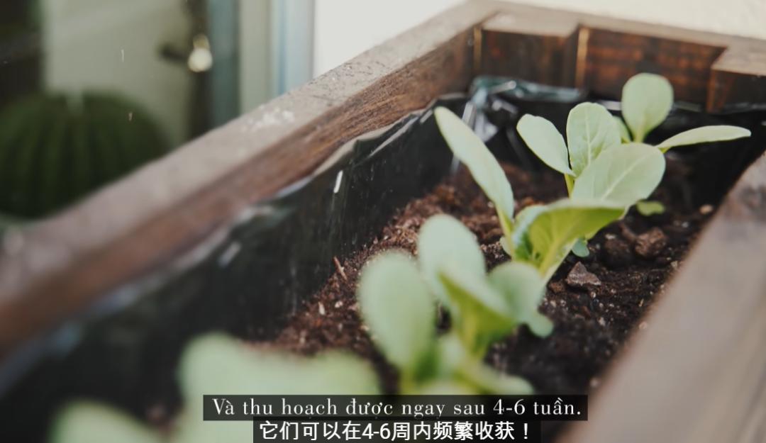 富豪生活实拍,富豪生活曝光